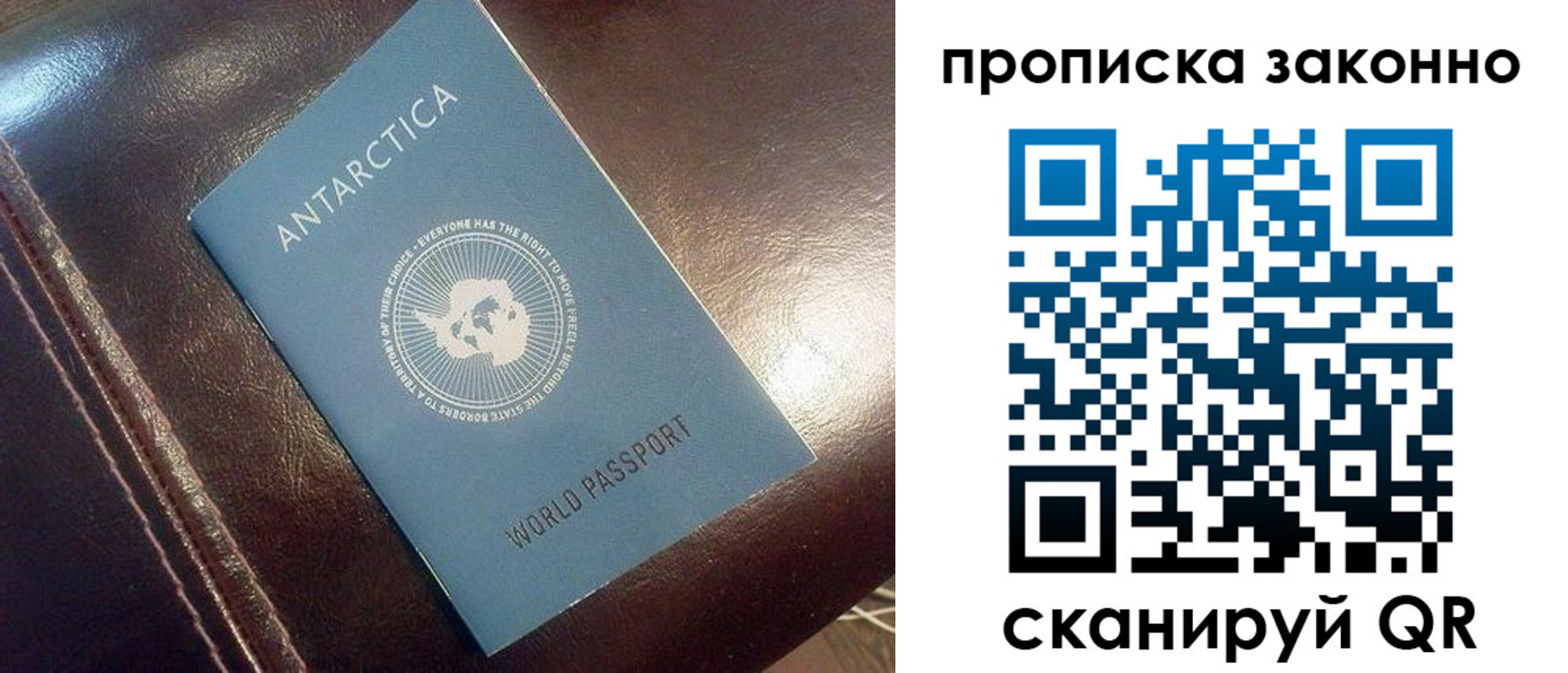 прописка в квартире в Павловске